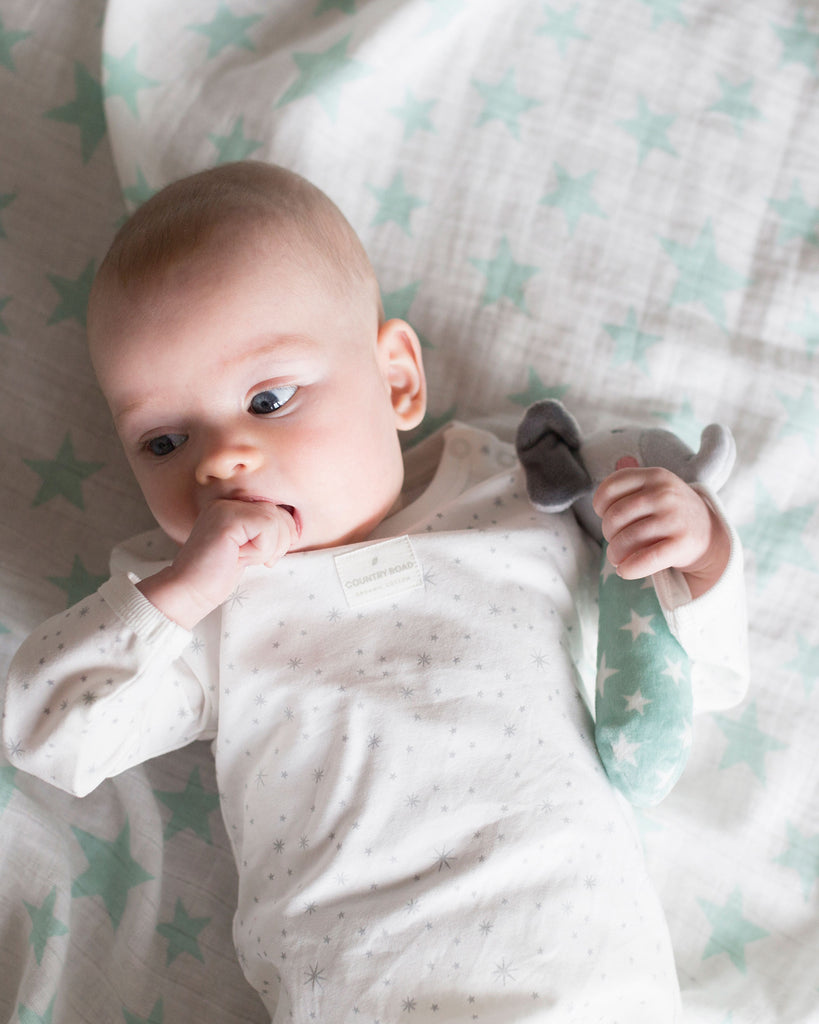 The Little Linen Company Baby Muslin Wrap Crinkle Toy Seafoam Elep Little Linen Created
