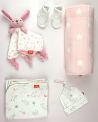 Weegoamigo hotsell gift set